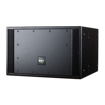 https://www.distrisound.com/3611-thickbox/esd110-caisson-de-basses-passif-10-500-watt-rms.jpg