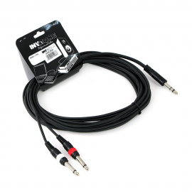 INSC 500
